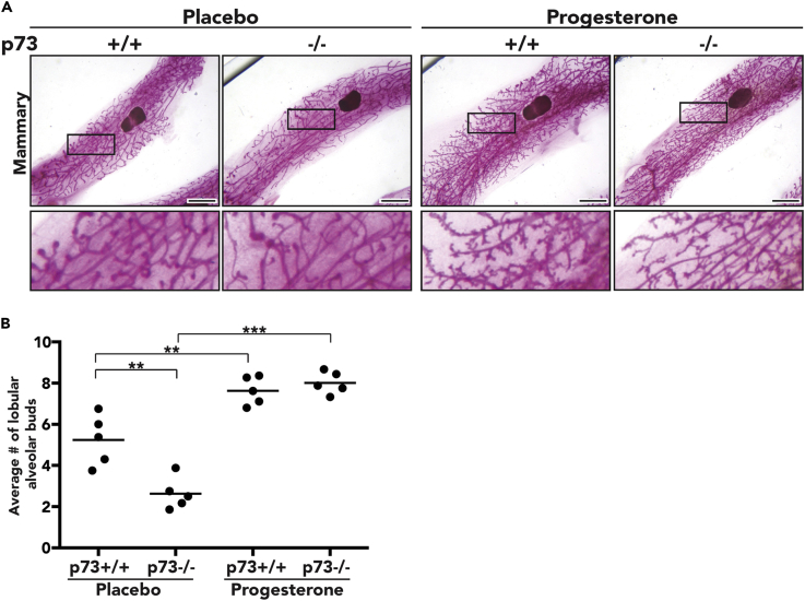 Figure 4