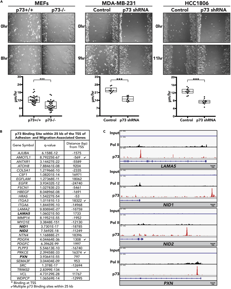 Figure 6