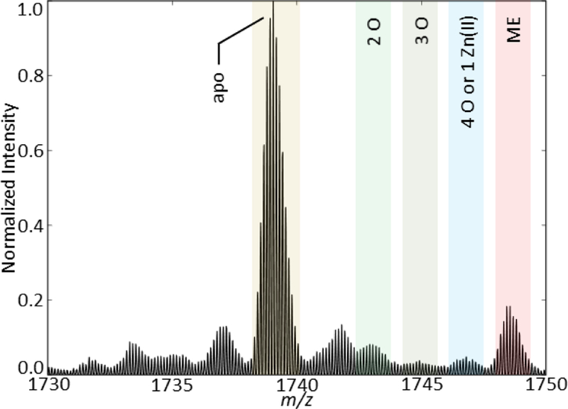 Figure 5.