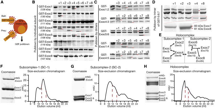 Figure 1