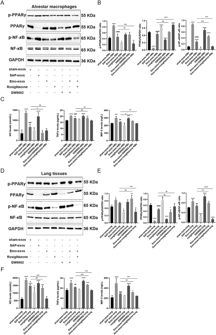 Figure 7