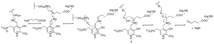 Scheme 1