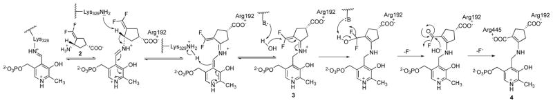 Scheme 2