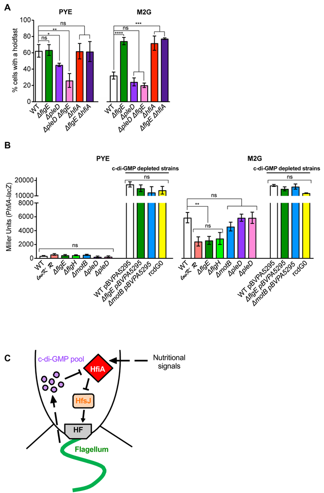 Fig. 6: