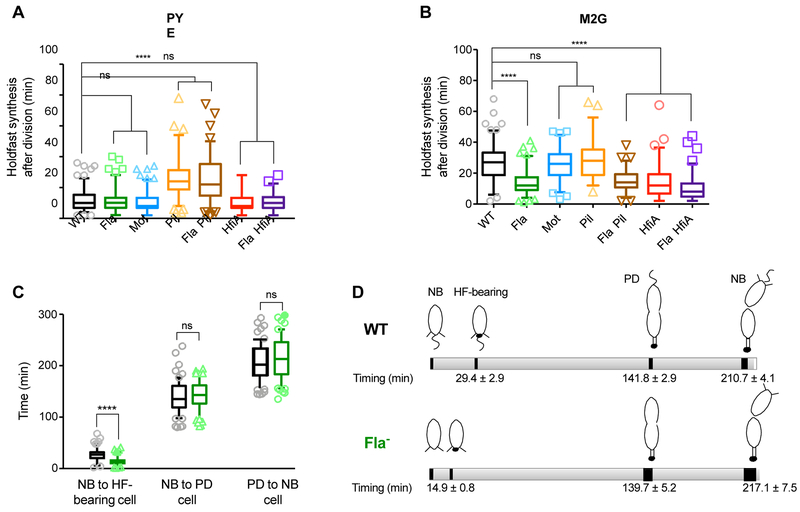 Fig. 4: