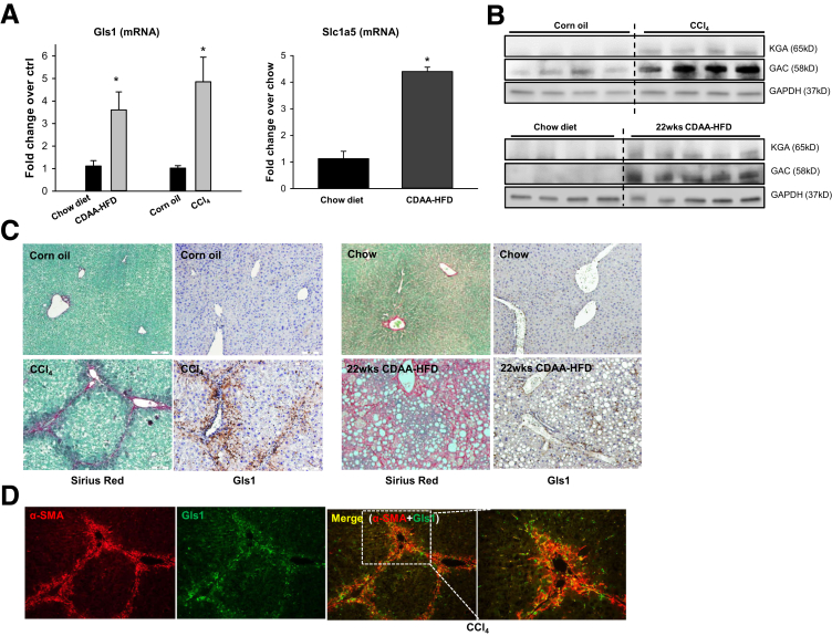 Figure 4