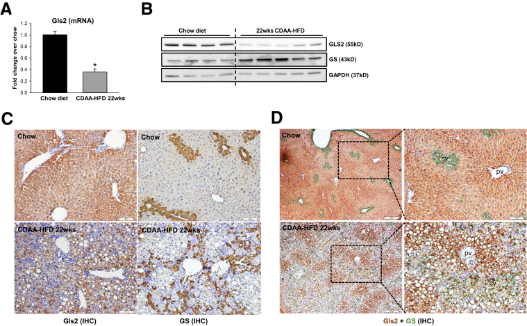 Figure 6