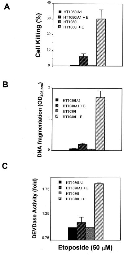 FIG. 5