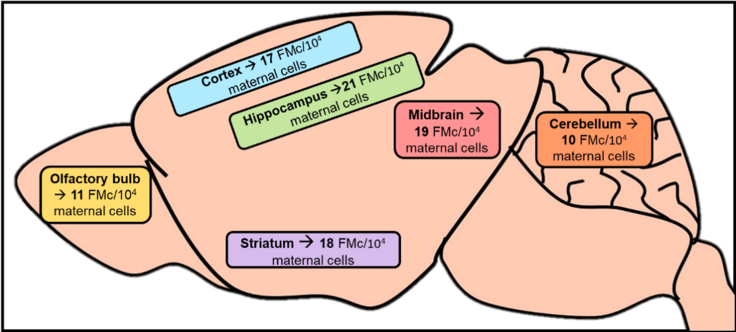 Figure 6