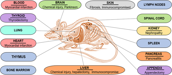 Figure 4