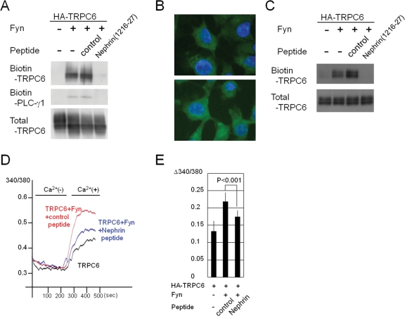 FIGURE 6: