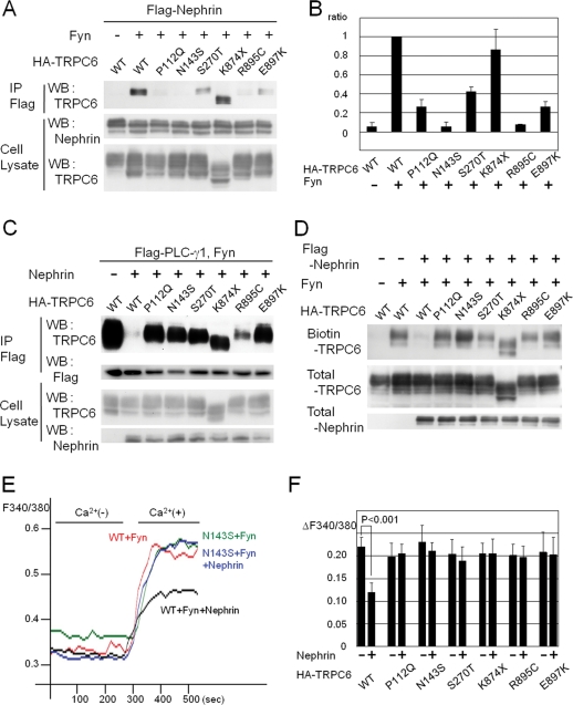 FIGURE 7: