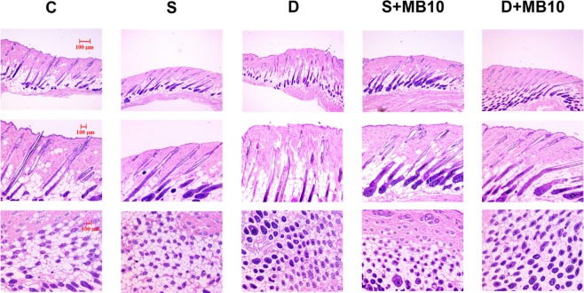 Figure 7