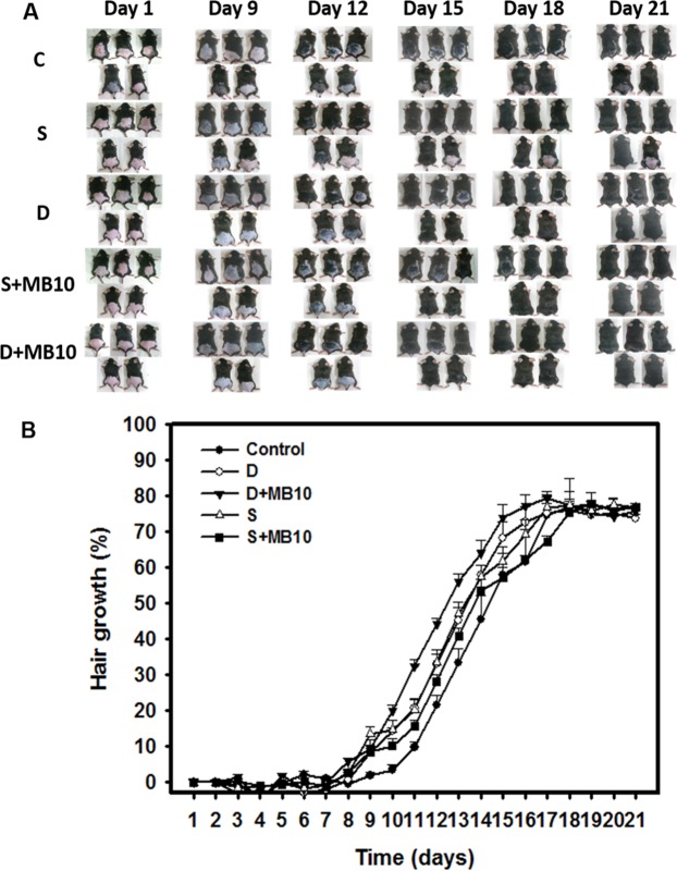 Figure 6