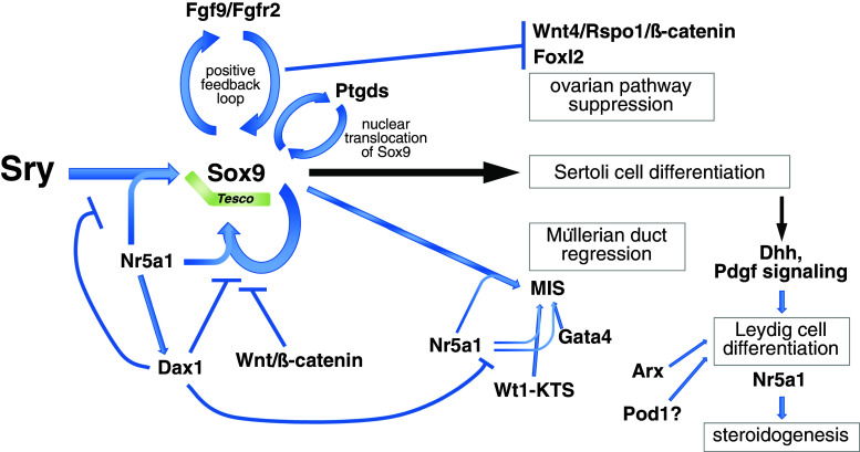 Fig. 2