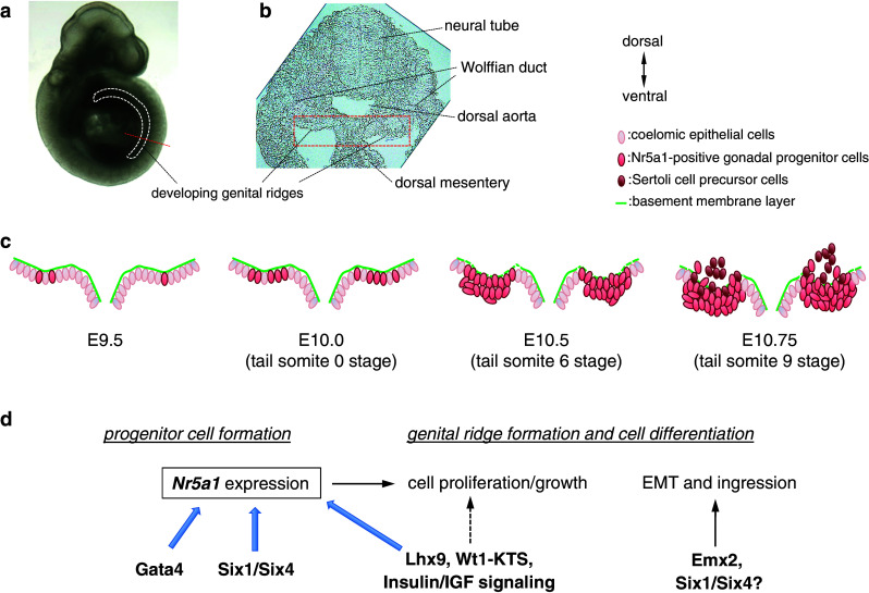 Fig. 1