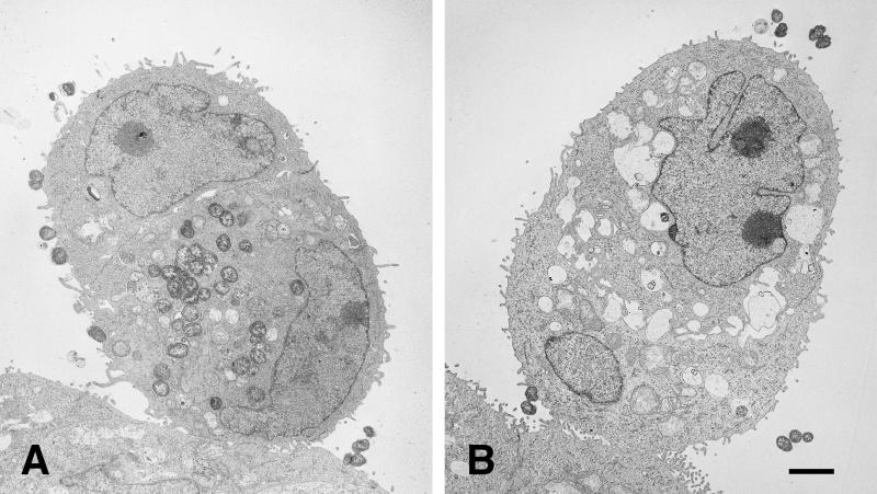 FIG. 6