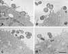 FIG. 5