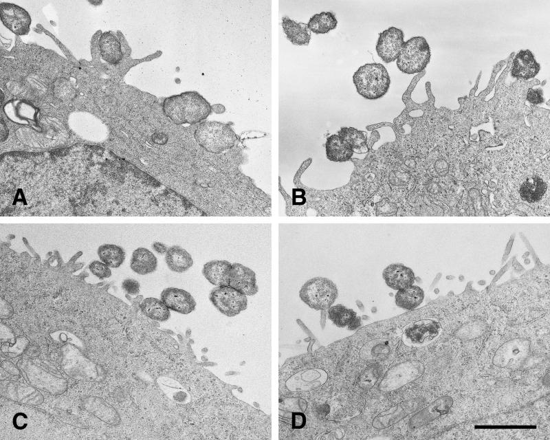 FIG. 5