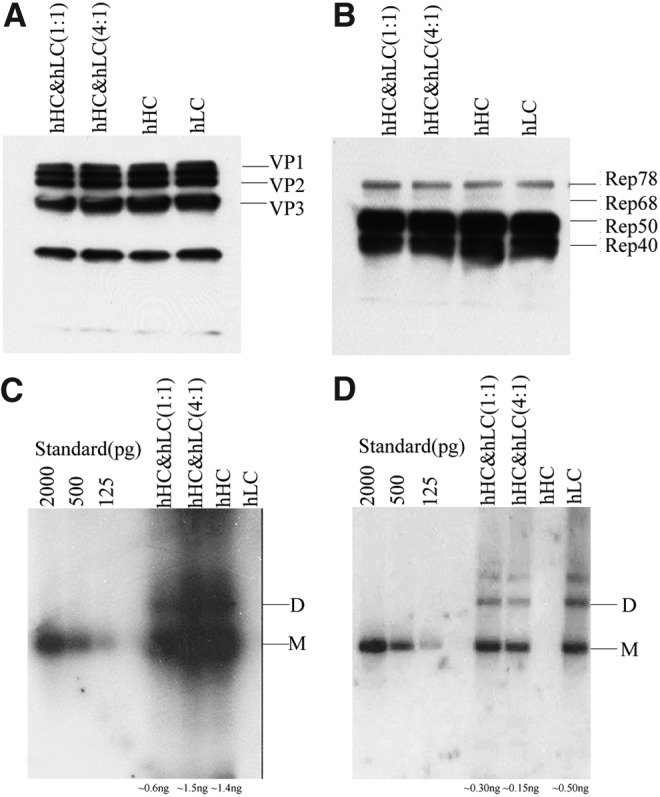 FIG. 3.