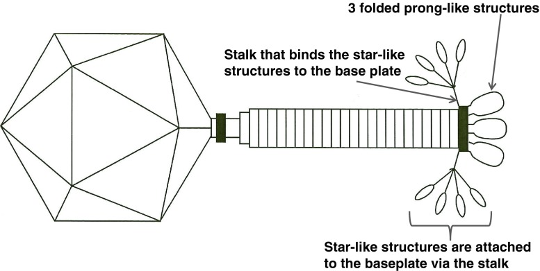 Fig. 2