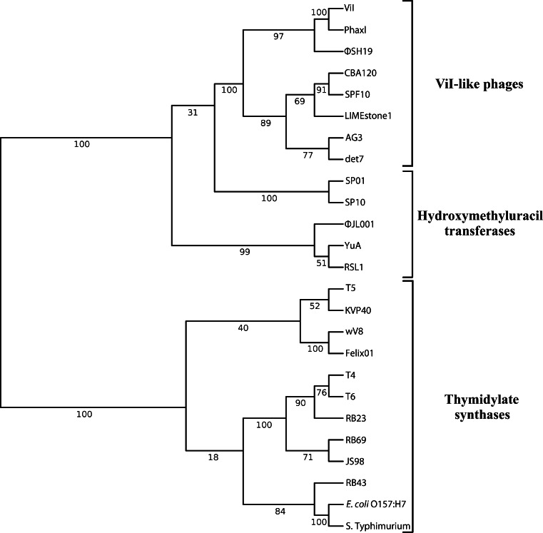 Fig. 4