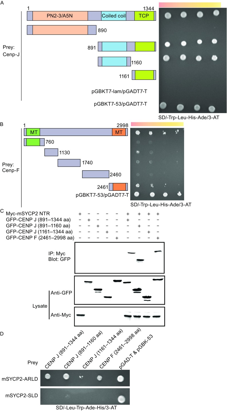 Figure 2