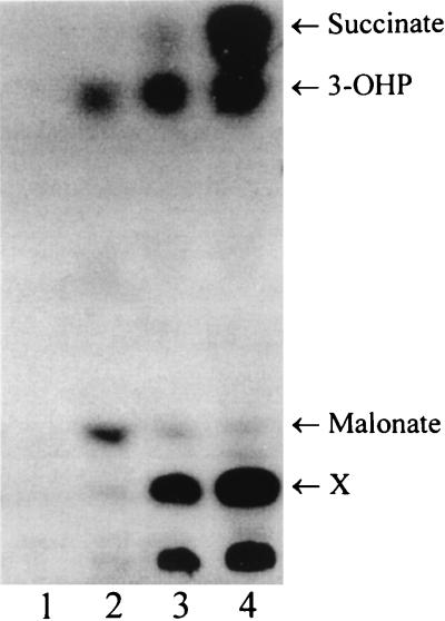 FIG. 5