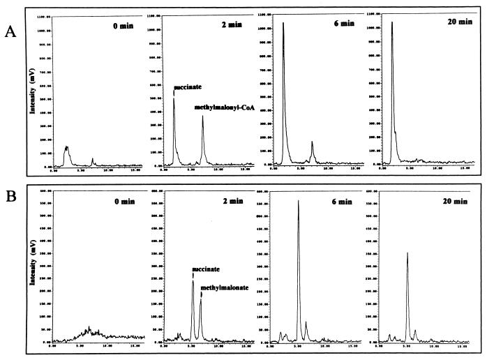 FIG. 7