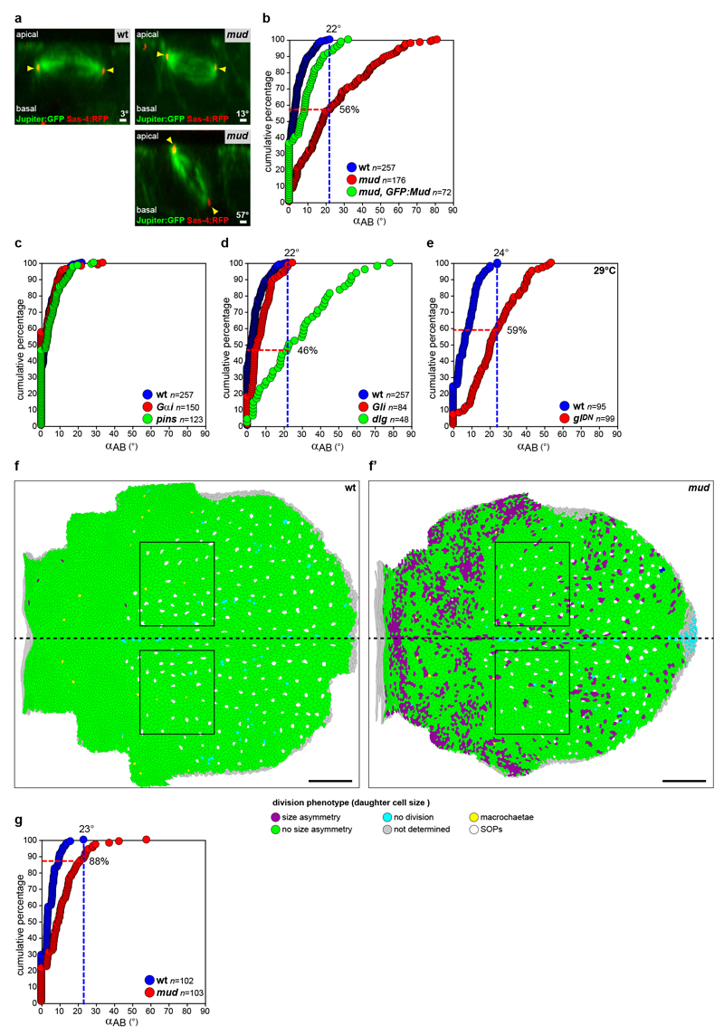 Extended Data Figure 5