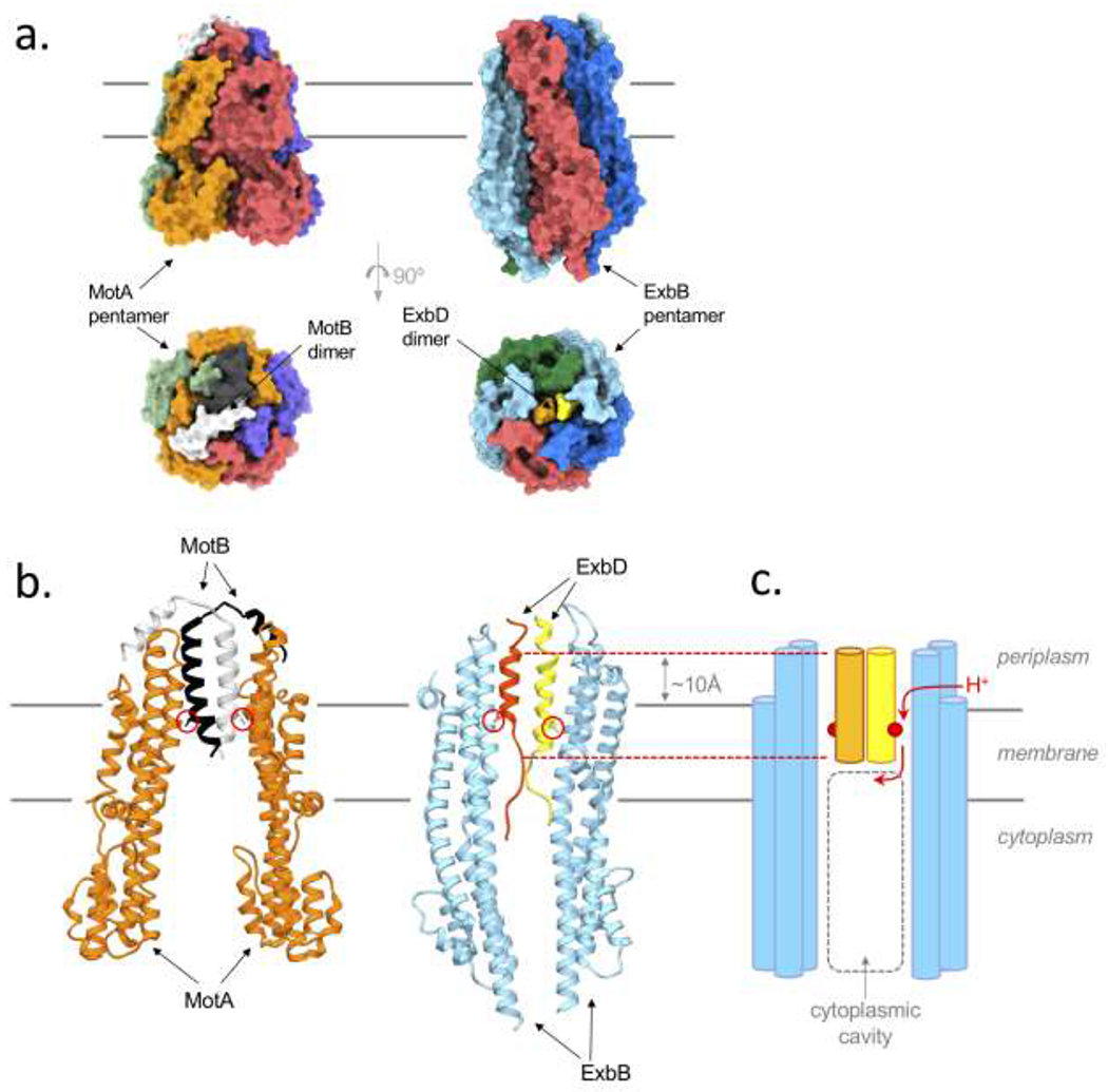 Figure 2 –