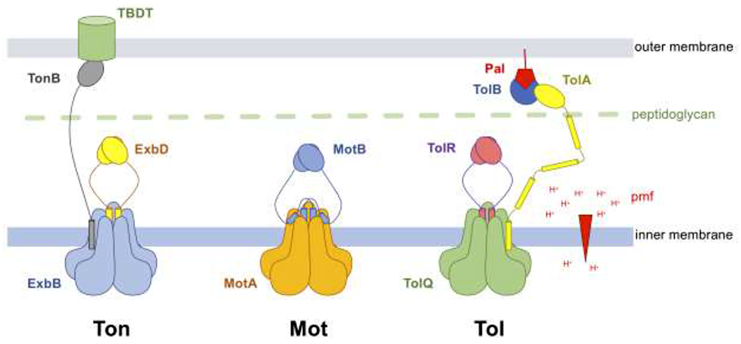 Figure 1 –