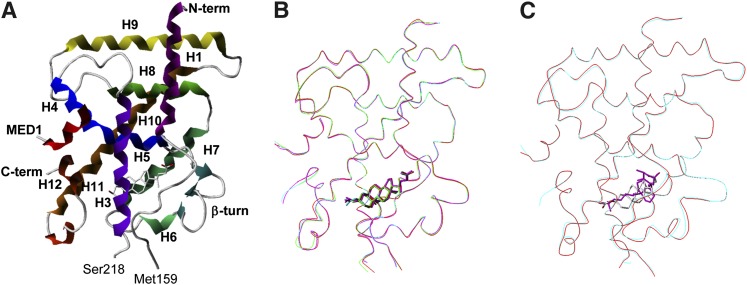 Fig. 2.