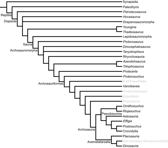 Figure 10