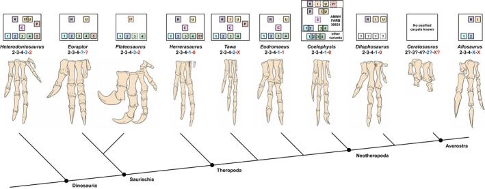 Figure 11