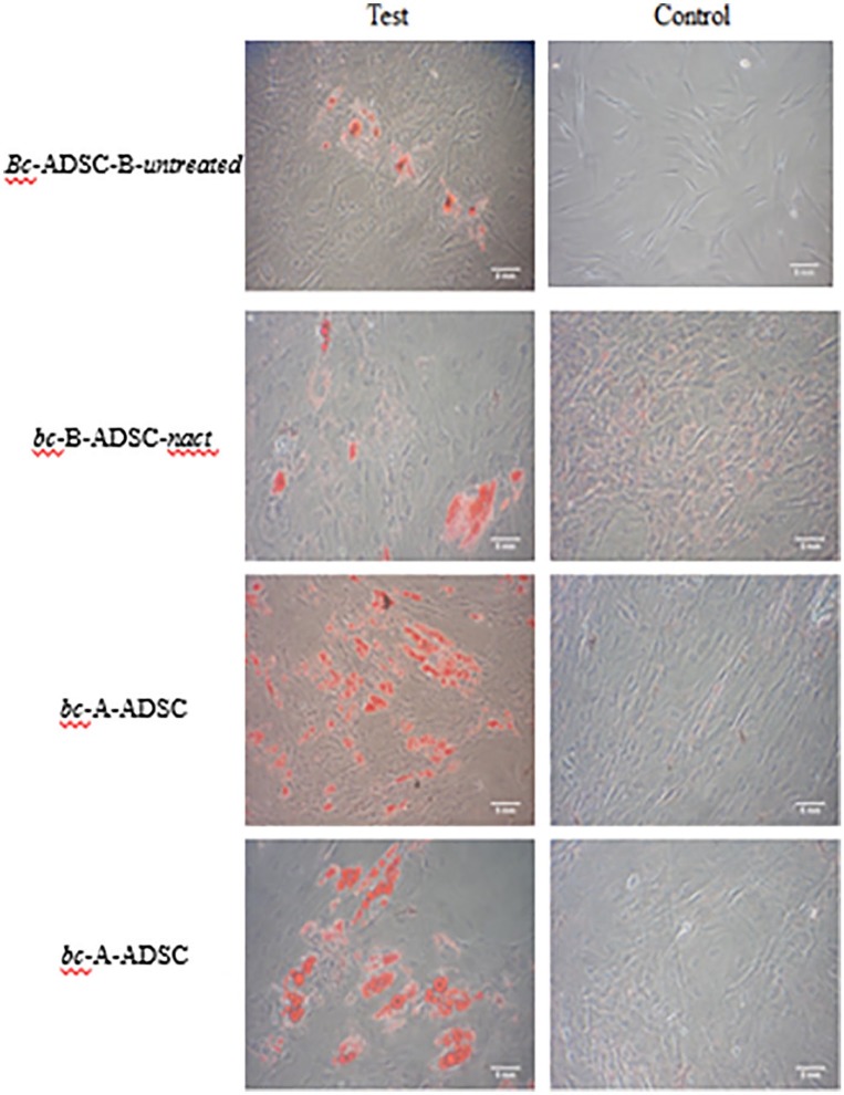 Figure 5.