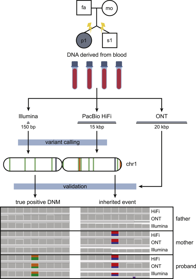 Figure 1