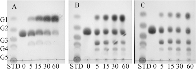 FIG 2