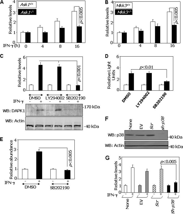 FIG 1