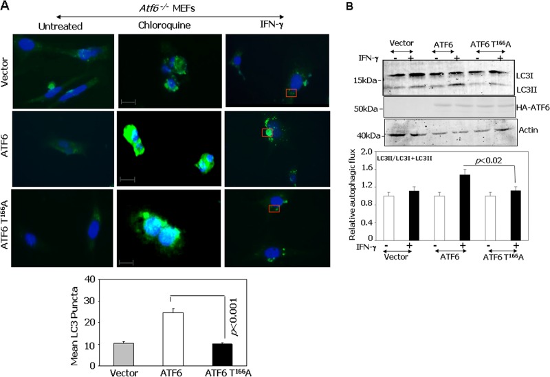 FIG 6