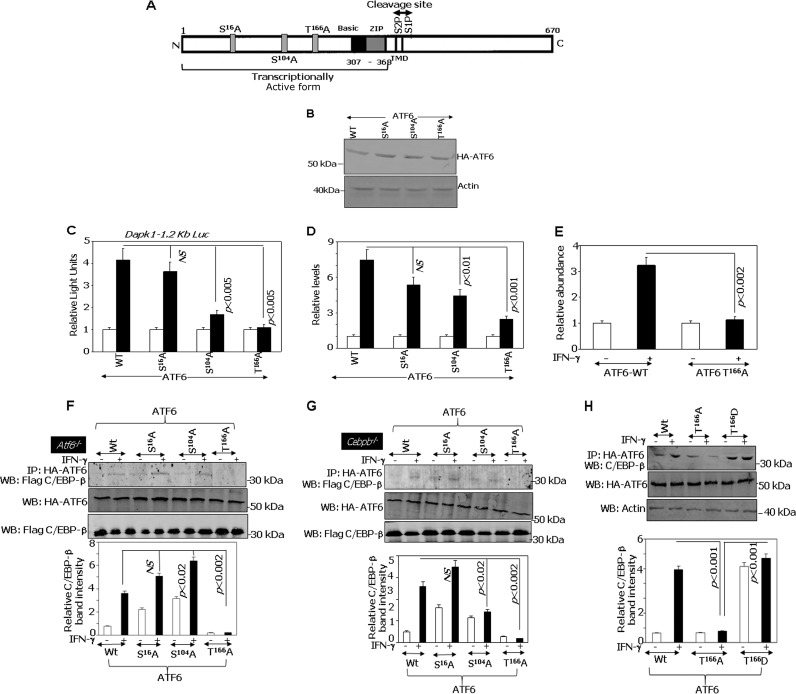 FIG 3