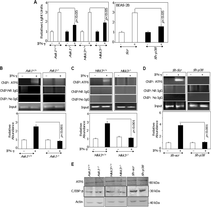 FIG 2