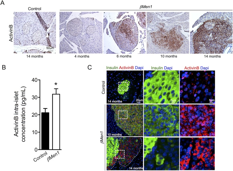 FIG 3