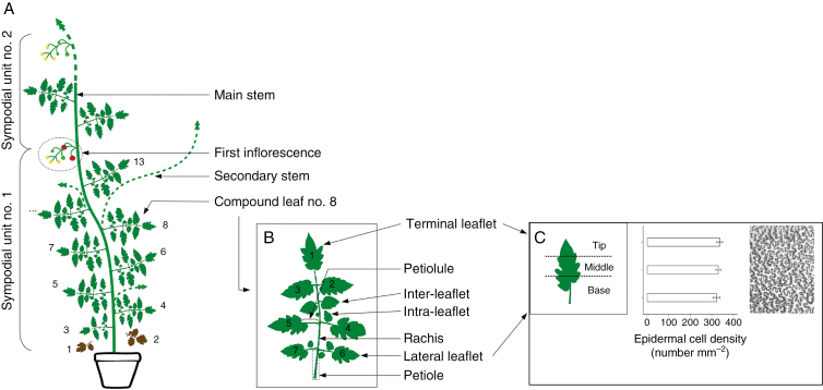 Fig. 2.