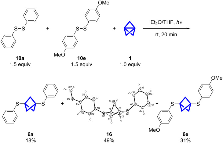 Scheme 6