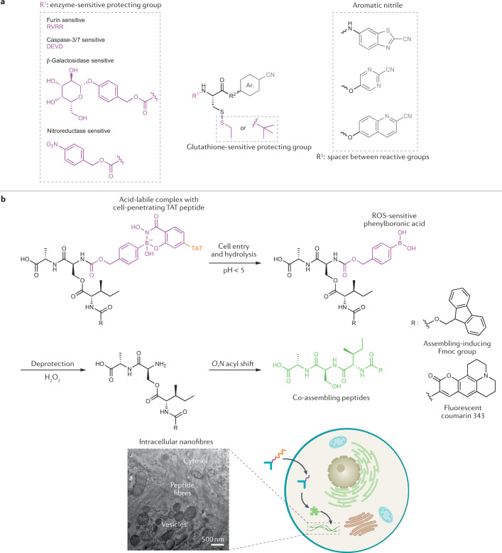 Fig. 7