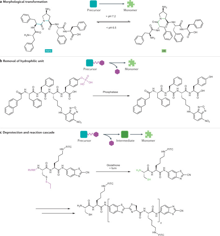 Fig. 3