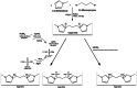 Scheme 4