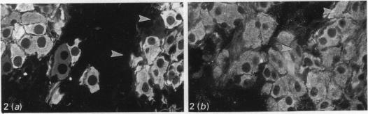 Fig. 2(a-b)