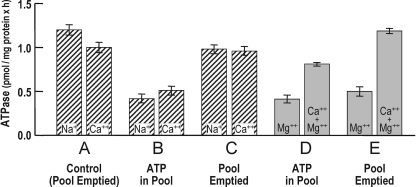 Figure 7.